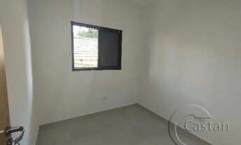 Imagem 7: Apartamento para alugar na água rasa