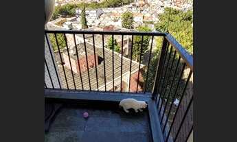 Imagem 4: Apartamento com 2 dormitórios, 68 m² - venda por R$ 389.000,00 ou aluguel por R$ 2.576,00