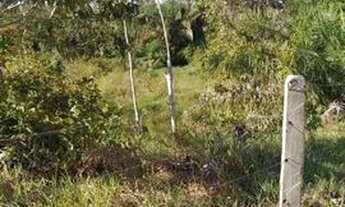 Imagem 3: Chácara em Presidente Medici