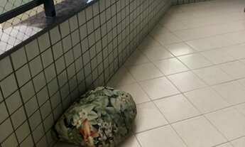 Imagem 2: Excelente dois quartos próximo as belas praias