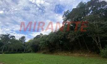 Imagem 5: Terreno em Serra Da Cantareira