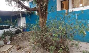 Imagem 2: Térrea para aluguel e venda tem 200 metros quadrados com 3 quartos