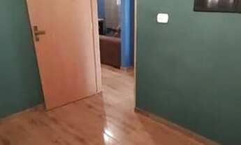 Imagem 6: Casa à venda em Palmeira D'Oeste