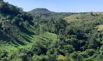 Imagem 3: Fazenda 11 algueire em Aparecida