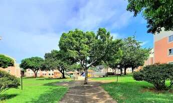 Imagem 6: LONDRINA - Padrão - Coliseu