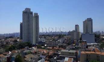 Imagem 4: SAO PAULO - Apartamento Padrão - CAMBUCI