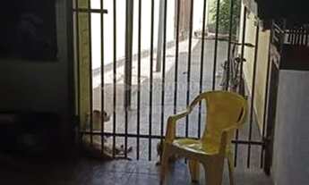 Imagem 5: Casa Padrão em São José do Rio Preto