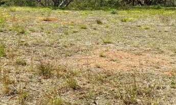 Imagem 4: Grande terreno no Loteamento da Quiaca