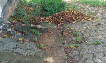 Imagem 5: Duas casas Casa com 2 dormitórios