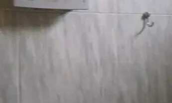 Imagem 4: Alugo apartamento no Jardim Primavera