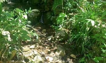 Imagem 5: Chácara / Sitio com córrego em Palhoça