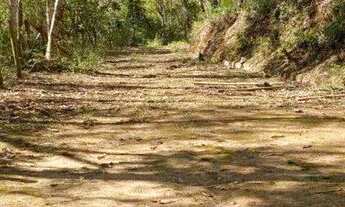 Imagem 2: Grande terreno no Loteamento da Quiaca