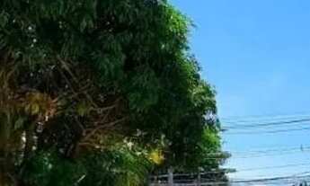 Imagem 4: Lindo Imóvel Próximo a Praia