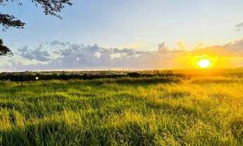 Imagem 4: Chácara em Tupã