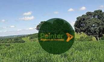 Imagem 5: Fazenda à venda, 532400 m² por R$ 4.500.000,00 - Zona Rural - Caldazinha/GO