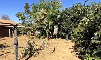 Imagem 2: Vendo chácara Chácara com venda por R$120.000