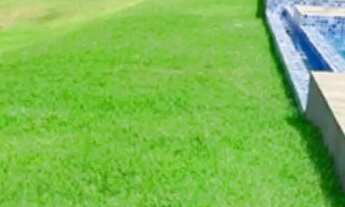 Imagem 3: Chácaras fazenda 2