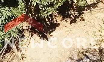 Imagem 5: Lote em Rua dos Pianos - Estâncias Imperiais - Contagem/MG