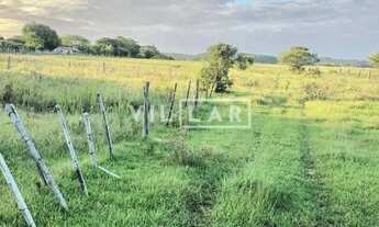 Imagem 5: SITIO EM VIAMÃO