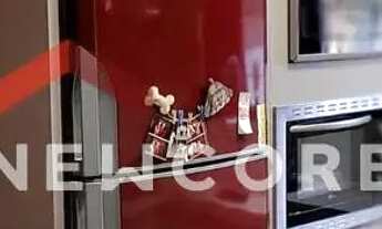 Imagem 7: Casa em Rua da Esperança - Cristo Redentor - Criciúma/SC