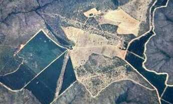 Imagem 2: A&M IMOVEIS VENDE EXELENTE FAZENDA 180HECTARES NA CHAPADA GAUCHA EM BURITIS MG