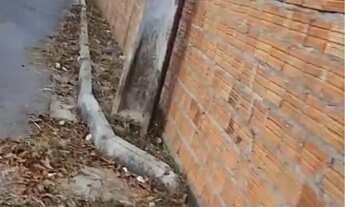 Imagem: Vendo terreno Murado no sítio Gapara