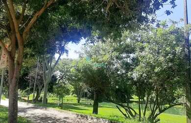 Imagem 4: Lote no Setor Pedro Ludovico