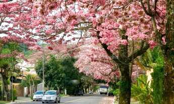 Imagem 6: Terreno à venda, Loteamento Caminhos de San Conrado - Campinas/SP