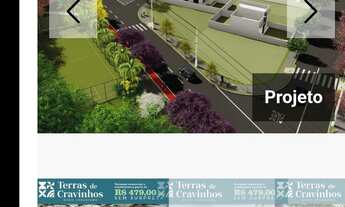 Imagem: Terra de cravinhos