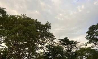 Imagem 6: Chácara 1000m - 14km Uberlândia