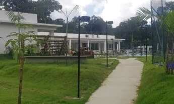 Imagem 4: MOSAICO Ponta Negra 250m2 LOTE PLANO oportunidade