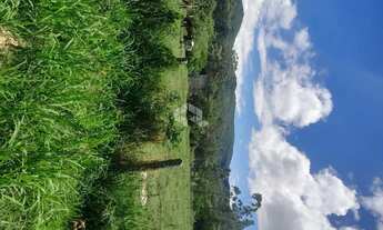 Imagem 4: Sitio com 5.280 m² à venda, Bairro Ratones, Florianópolis SC