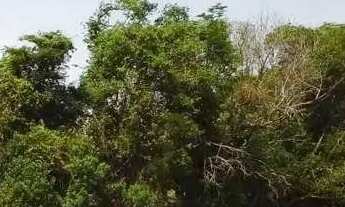 Imagem: Fazenda com 16 dormitórios à venda, 300000