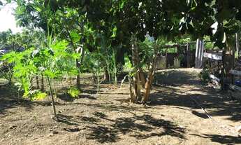 Imagem 3: Aluguel de Chácara com casa mobiliada Parque Residencial Nova Almeida