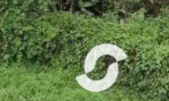 Imagem 3: Terreno à venda, 450 m² por R$ 175.000,00 - Engenho do Mato - Niterói/RJ