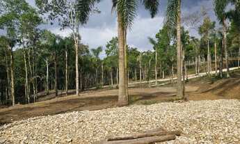 Imagem 4: Belas Áreas a venda Roseira , ótima oportunidade