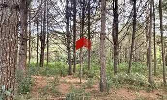 Imagem 5: Chácara com 250m² 5 quartos, à venda, no bairro Área Rural Mandirituba em Mandirituba