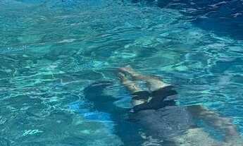 Imagem: Chacara / sitio aluguel temporada pedro