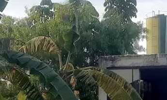 Imagem 2: Casa na laje 1 quarto no lote de 960 metros condomínio pequeno jardim botânico