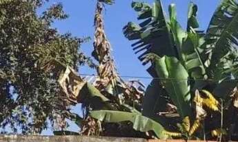 Imagem: Lote na cidade Vera Cruz