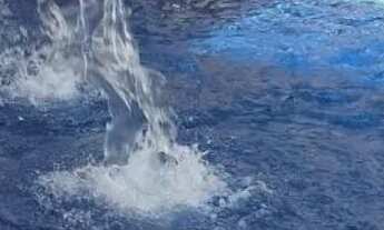 Imagem 2: Caldas novas centro casa da madeira