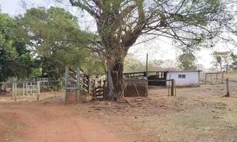 Imagem 6: Sítio 2,0 alqueires, muita água, entre Uberlândia e Monte Alegre