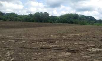 Imagem 2: FAZENDA EM CASSIA DOS COQUEIROS 53 ALQUEIRES 7.950.000.00