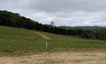 Imagem 7: JA PENSOU EM TER SEU TERRENO PARA CONSTRUIR O QUE SENTE VONTADE