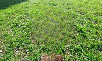 Imagem 3: Terreno à venda em Paulínia, Condominio Terras do Cancioneiro Betel, com 390 m²