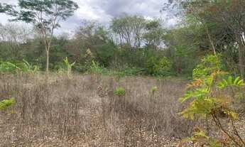 Imagem 4: VENDE-SE CHACARA