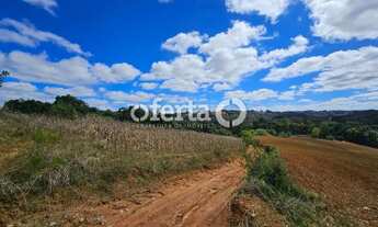 Imagem 6: Chácara em Contenda