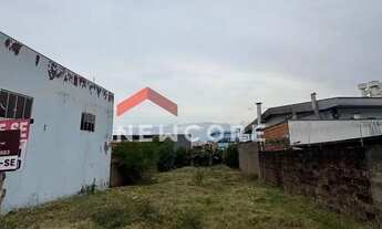 Imagem 7: Lote em Rs 239 - Alexandria - Parobé/RS