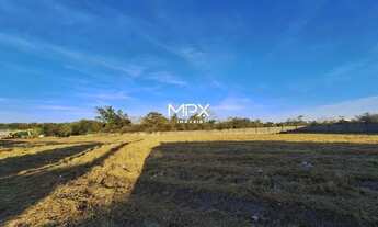 Imagem 2: Terreno à venda e para alugar em Rio das Pedras, Loteamento Industrial Palmeiras, com 1000