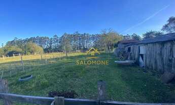 Imagem 4: Salomone vende Lindo Sítio de 13 hectares com açude